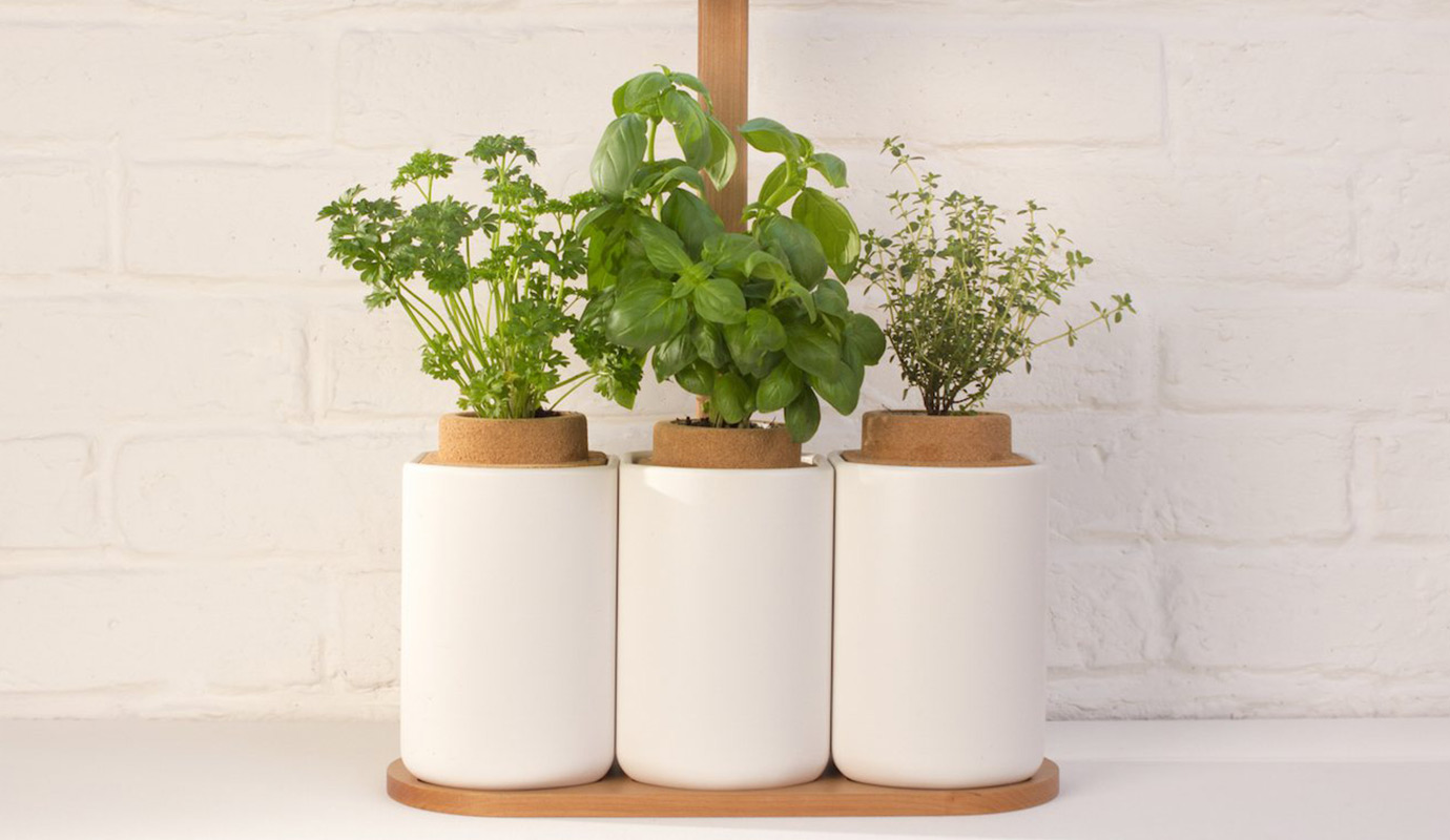 Lý do các thương hiệu xa xỉ chi tiền tỷ mời idol Kpop làm đại sứ là gì?